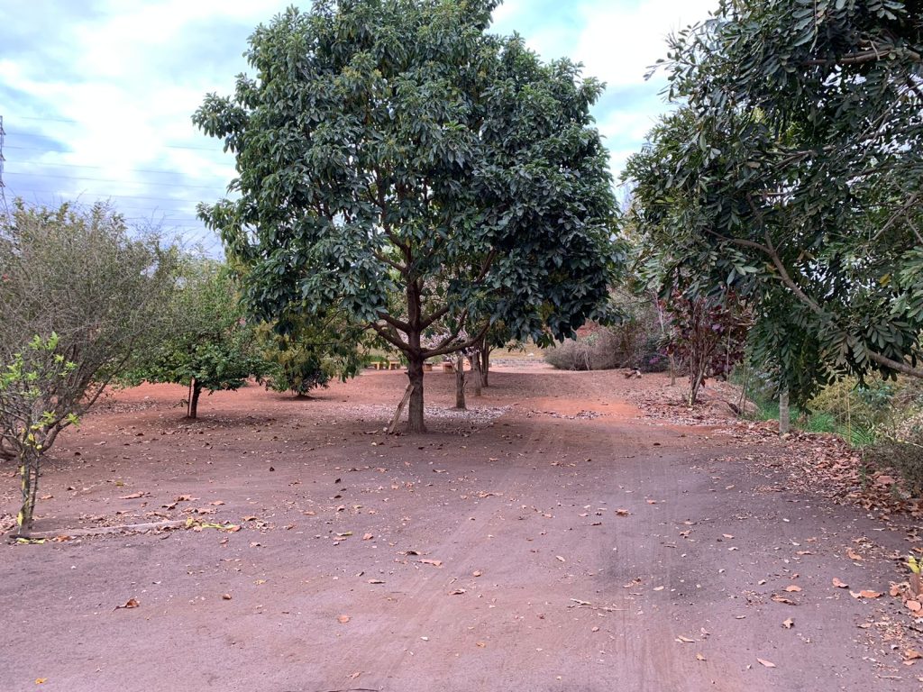 CHÁCARA PRÓXIMO AO BAIRRO FOGUETINHO