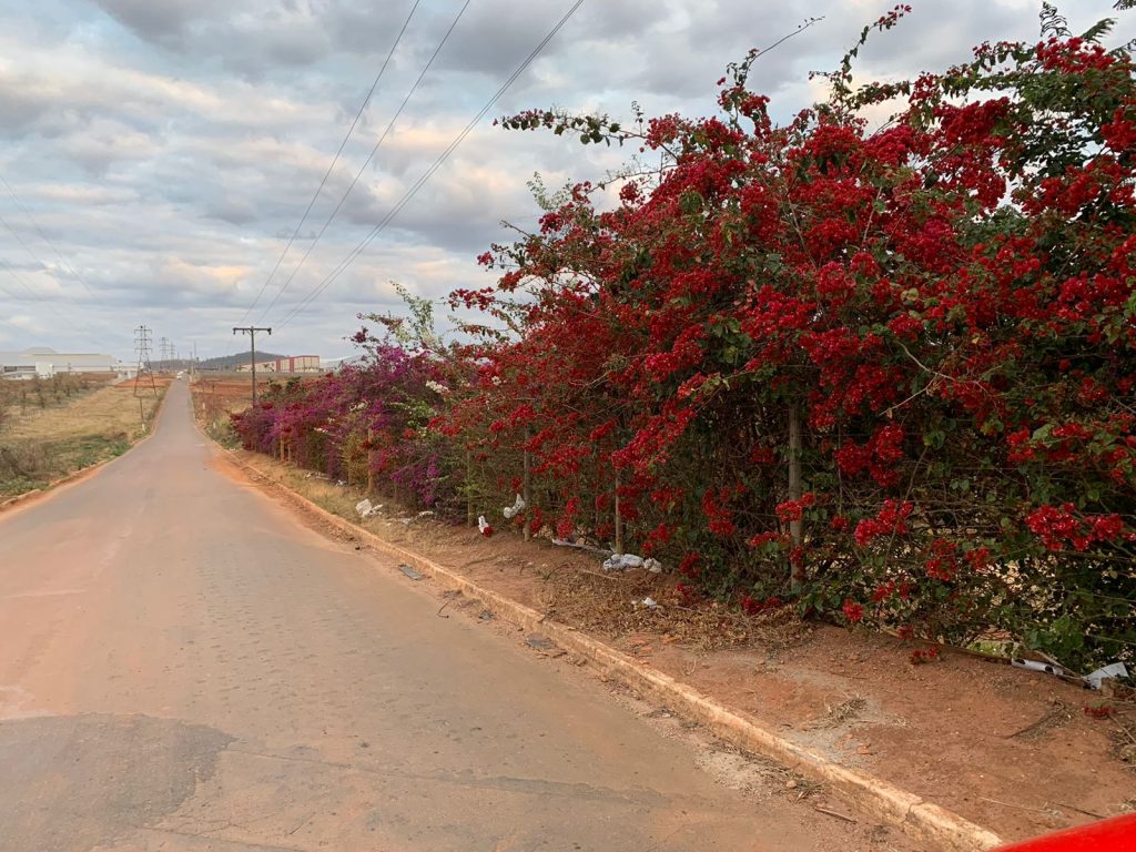 CHÁCARA PRÓXIMO AO BAIRRO FOGUETINHO