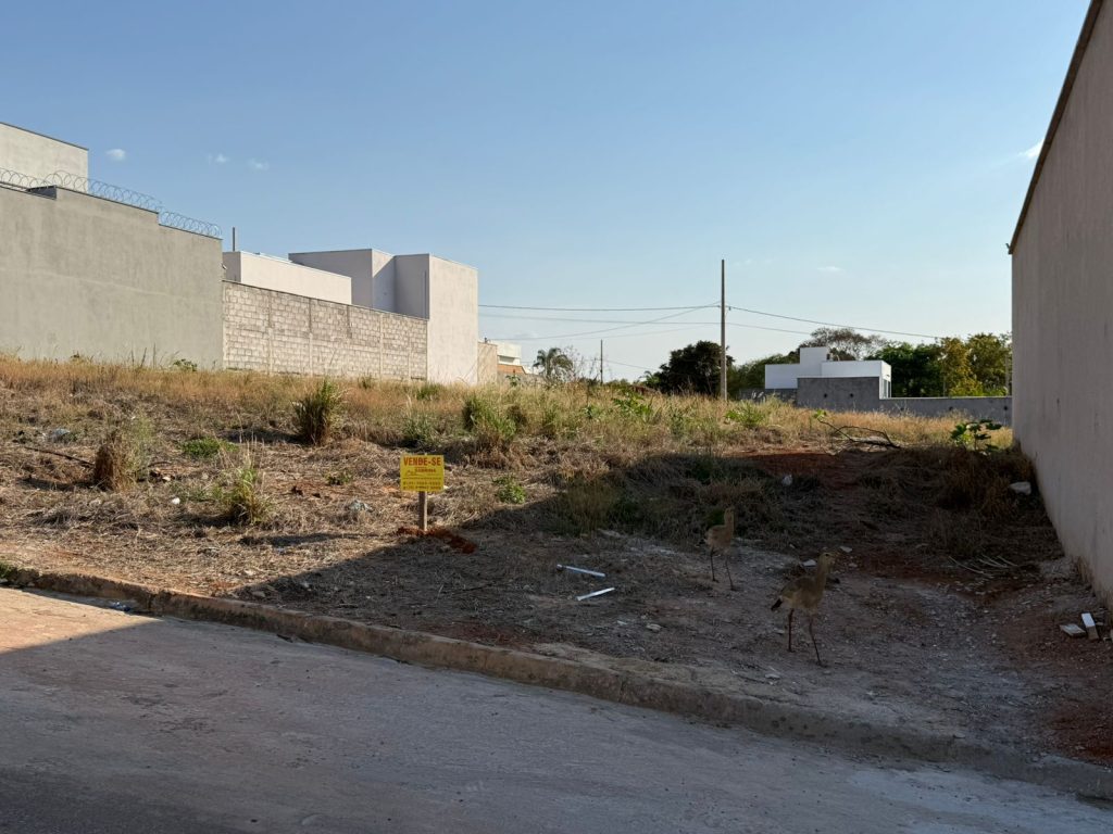 TERRENO – JARDIM JULIETA