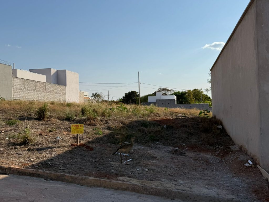 TERRENO – JARDIM JULIETA