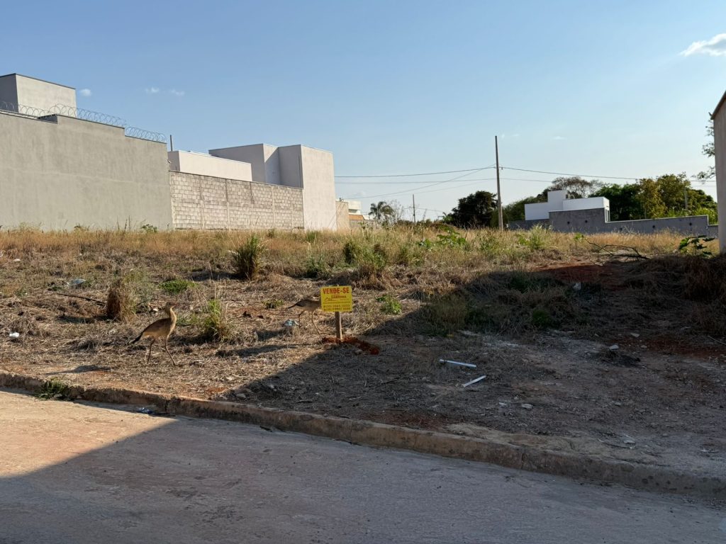 TERRENO – JARDIM JULIETA