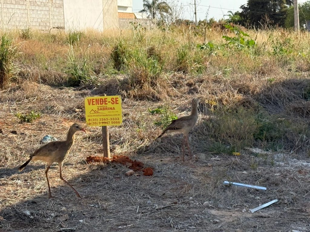 TERRENO – JARDIM JULIETA