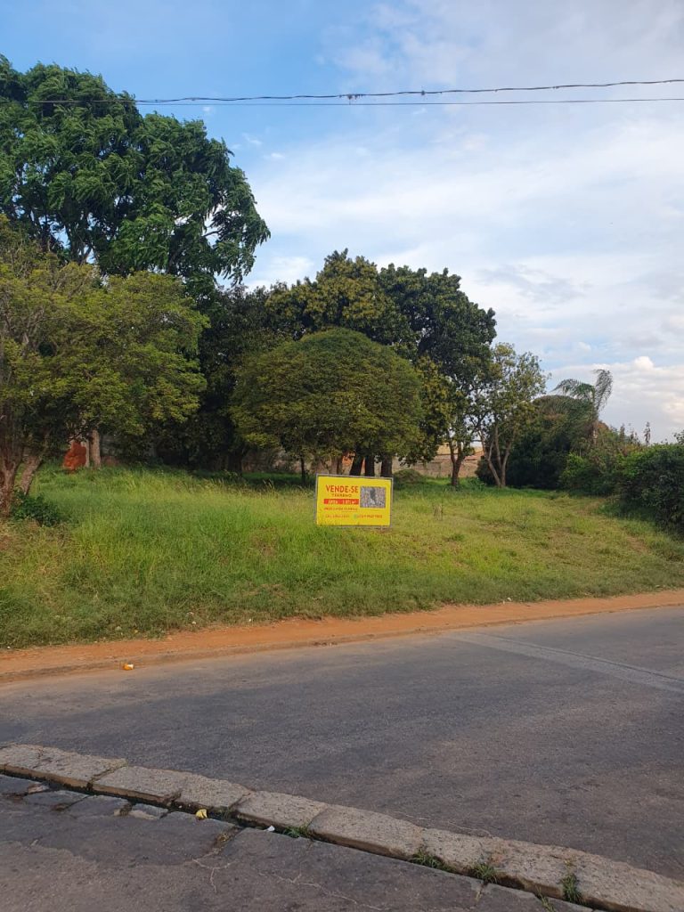 TERRENO – CENTRO