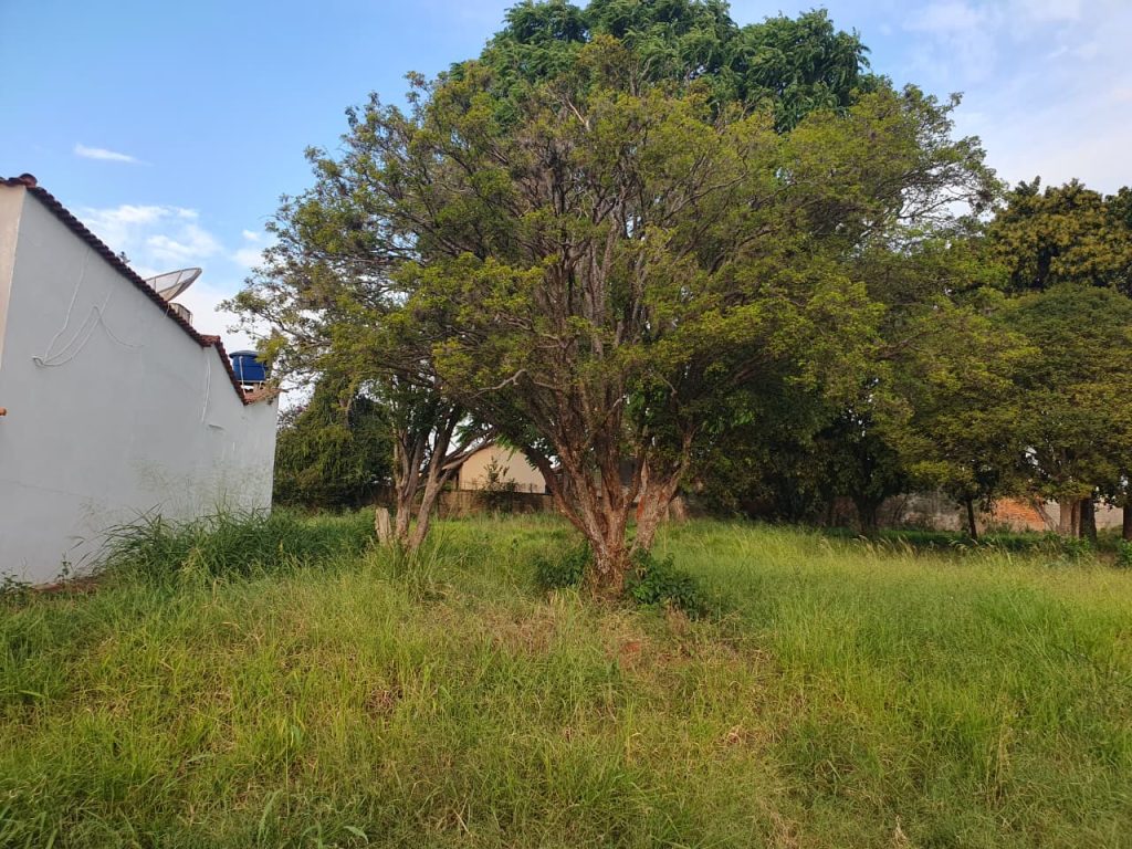 TERRENO – CENTRO