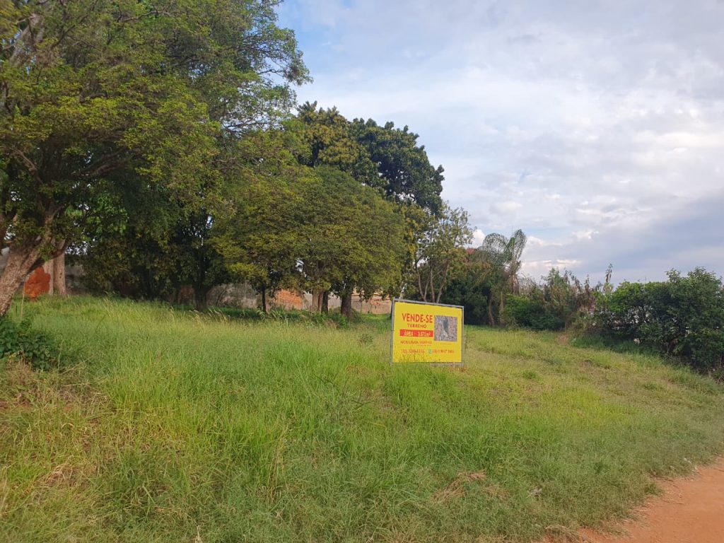 TERRENO – CENTRO