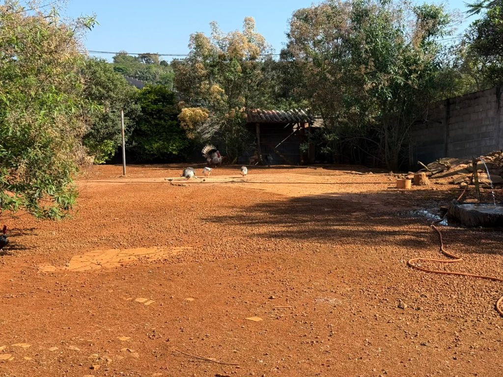 TERRENO – DO SÉCULO
