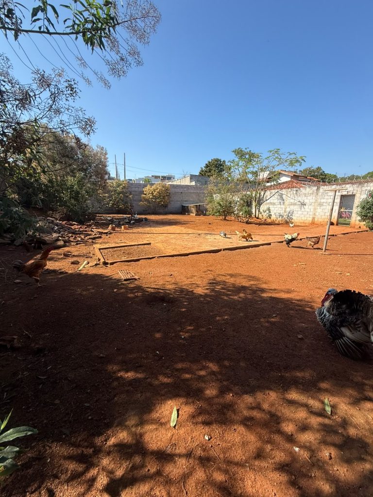 TERRENO – DO SÉCULO