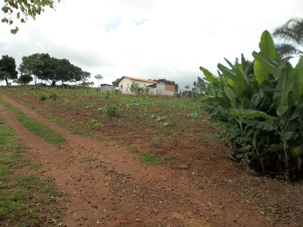 SÍTIO – PONTALETE